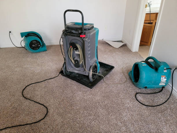 Best Sewage cleanup and water damage restoration  in Henderson, LA