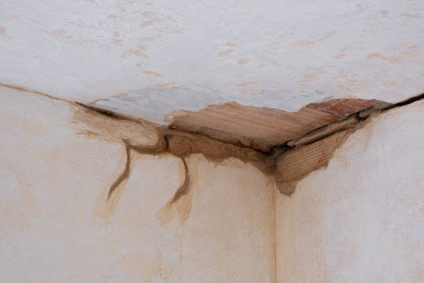 Best Residential water damage restoration  in Henderson, LA