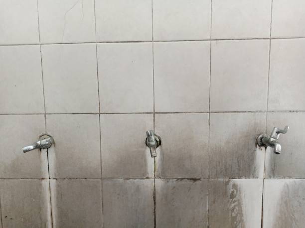 Best Flood restoration services  in Henderson, LA
