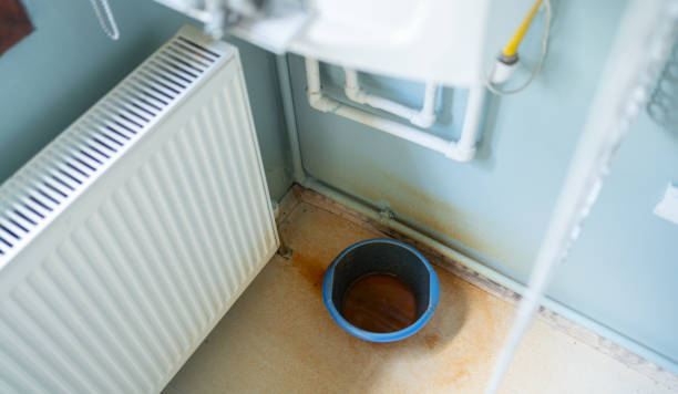 Best Professional water damage repair  in Henderson, LA