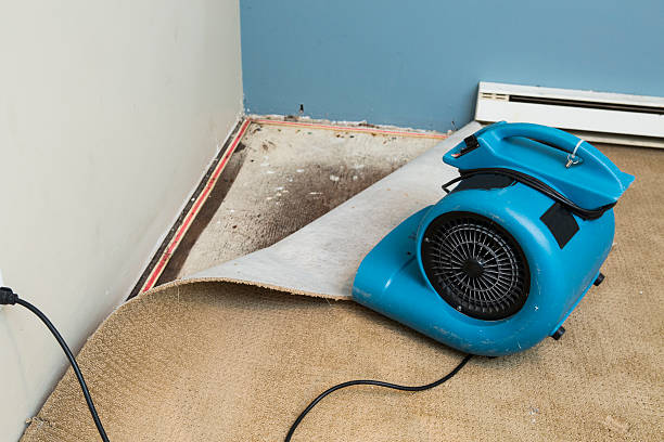 Best Emergency water damage restoration  in Henderson, LA